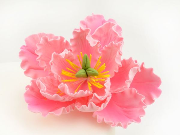 Feinzucker Blüte Peony pink