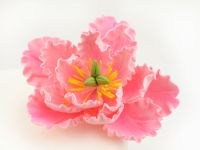 Feinzucker Blüte Peony pink
