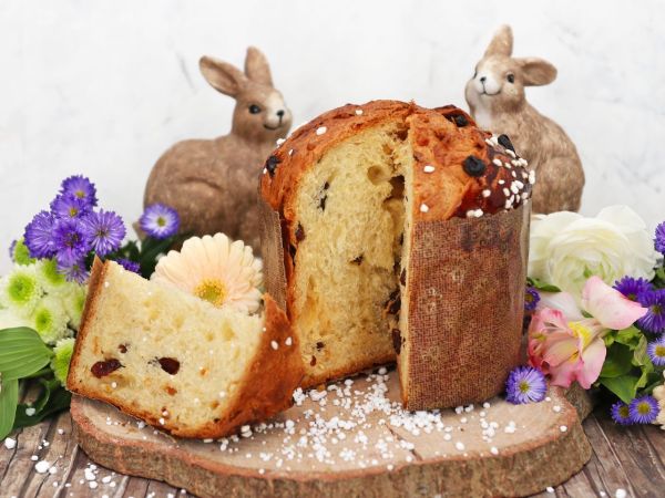 Backmischung Panettone 600g