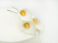 Feinzucker Blüten Calla Lily 3er