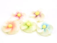 Apfelblüten bunt Zucker 5 Stück