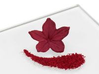 Puderfarbe Ruby 2g