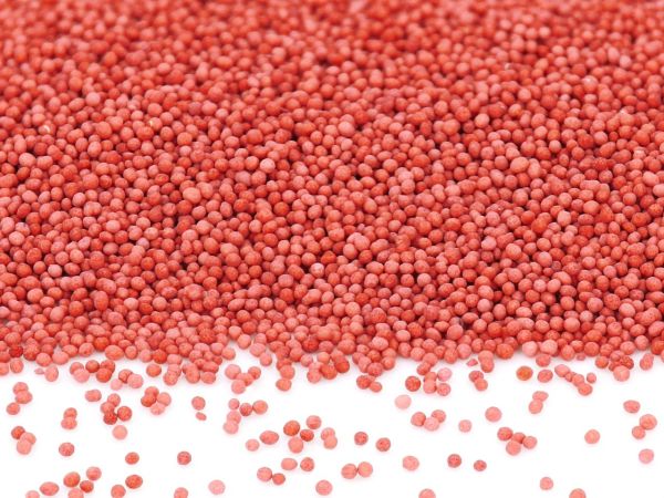 Mini-Perlen rot 1,0kg